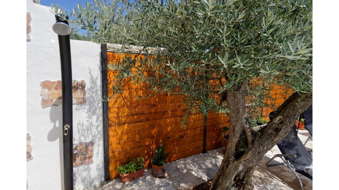 Holiday Home Vlady By Rent Istria بوجي المظهر الخارجي الصورة